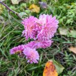 8 грудня – яке сьогодні свято, прикмети і традиції, пам’ятні дати, іменини