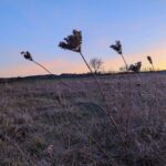 20 грудня – яке сьогодні свято, прикмети і традиції, пам’ятні дати, іменини