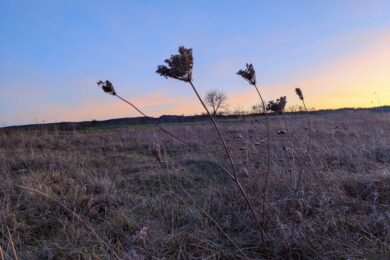 20 грудня – яке сьогодні свято, прикмети і традиції, пам’ятні дати, іменини