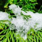 Погода в Україні 3