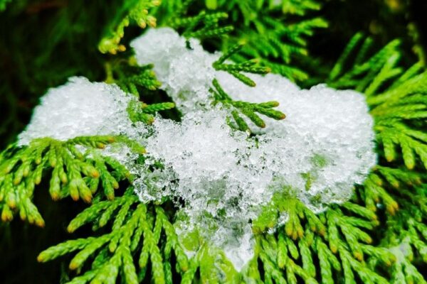 Погода в Україні 3