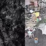 Чи контролюють росіяни Добропілля біля Гуляйполя? Відповідь Генштабу ЗСУ