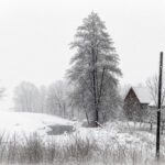 Чи буде сніг на Різдво і Новий Рік в Україні – прогноз синоптика