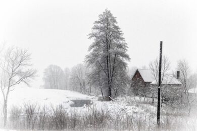 Чи буде сніг на Різдво і Новий Рік в Україні – прогноз синоптика