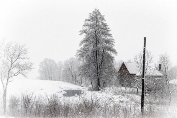 Чи буде сніг на Різдво і Новий Рік в Україні – прогноз синоптика