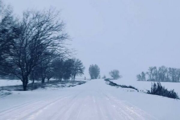 буде погода в Україні 29 грудня 2