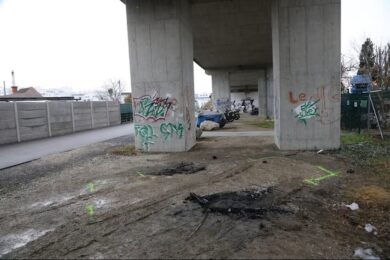 Вбивство 21-річного українця у Відні: затримано двох підозрюваних