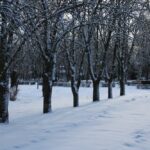 якою буде погода в Україні 30 грудня 2