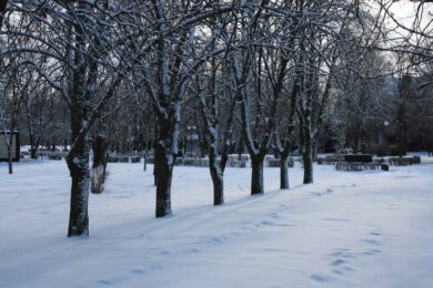 Попередили про небезпечні метеорологічні явища: якою буде погода в Україні 30 грудня