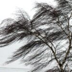 очікується погіршення погодних умов в Україні 13 грудня 2