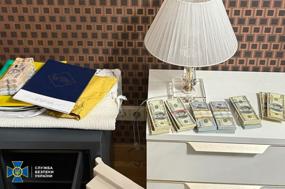 Народна депутатка України очолювала злочинну групу: подробиці гучної справи (фото, відео)