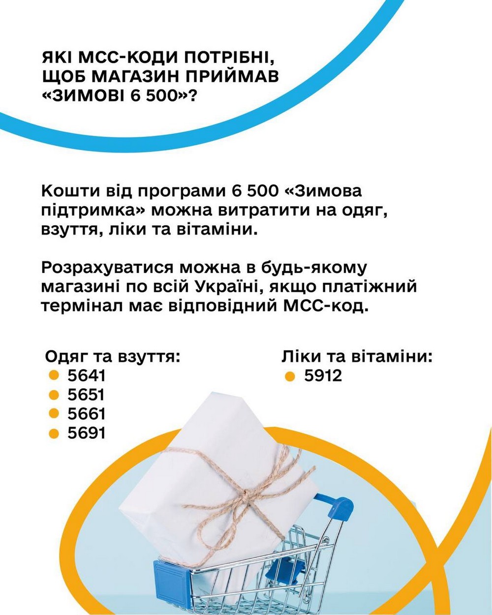 Коли будуть виплати 6500 грн всім і де можна витратити: перелік ММС-кодів