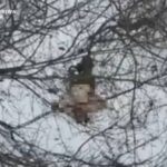 Змусили роздягнутися перед смертю і забрали одяг: окупанти розстріляли українських військовополонених у селі Шахове