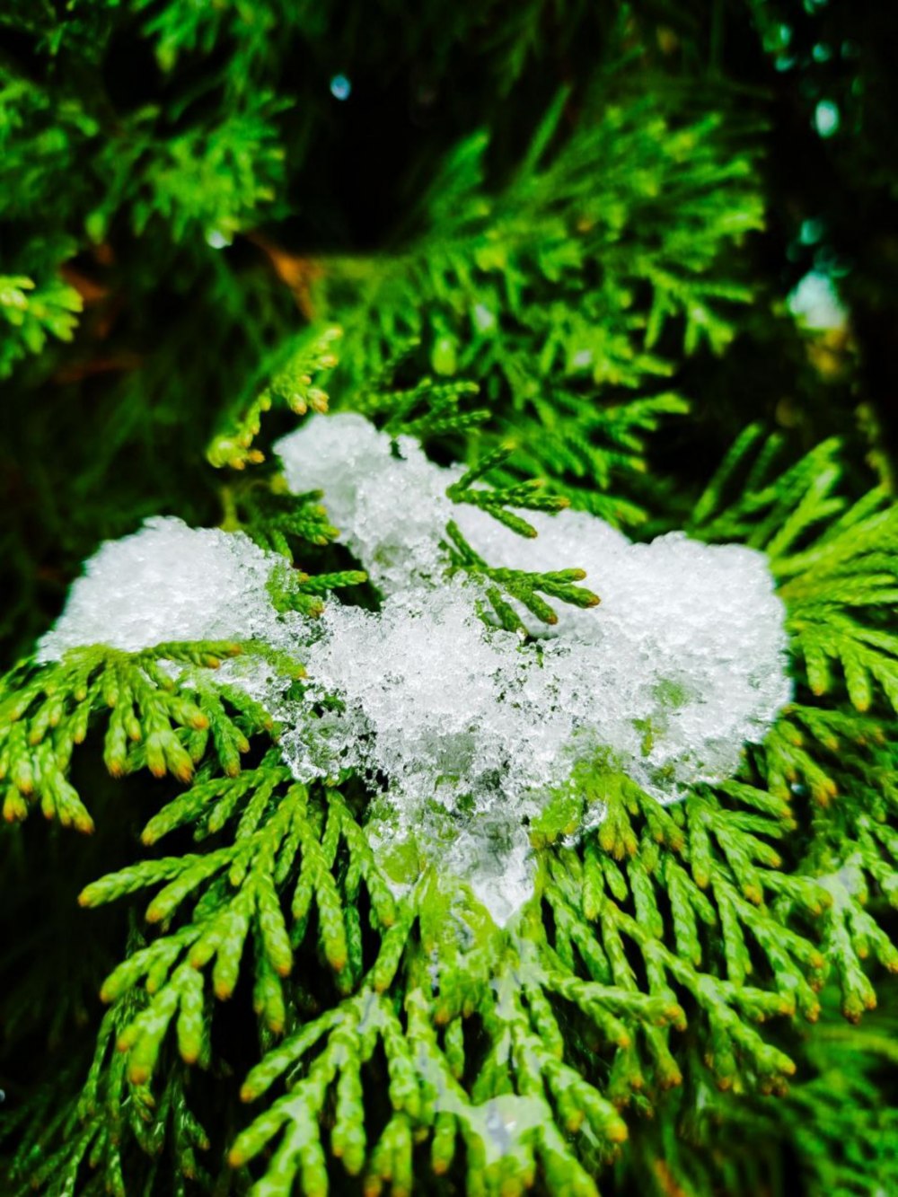 погода в Україні на Святвечір та Різдво 2