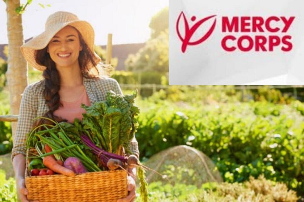 Грошова допомога від Mercy Corps на власну справу – хто може подати заявку