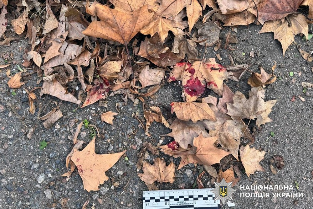 v84 611bd12c1bc4468118bd075a57f37e36