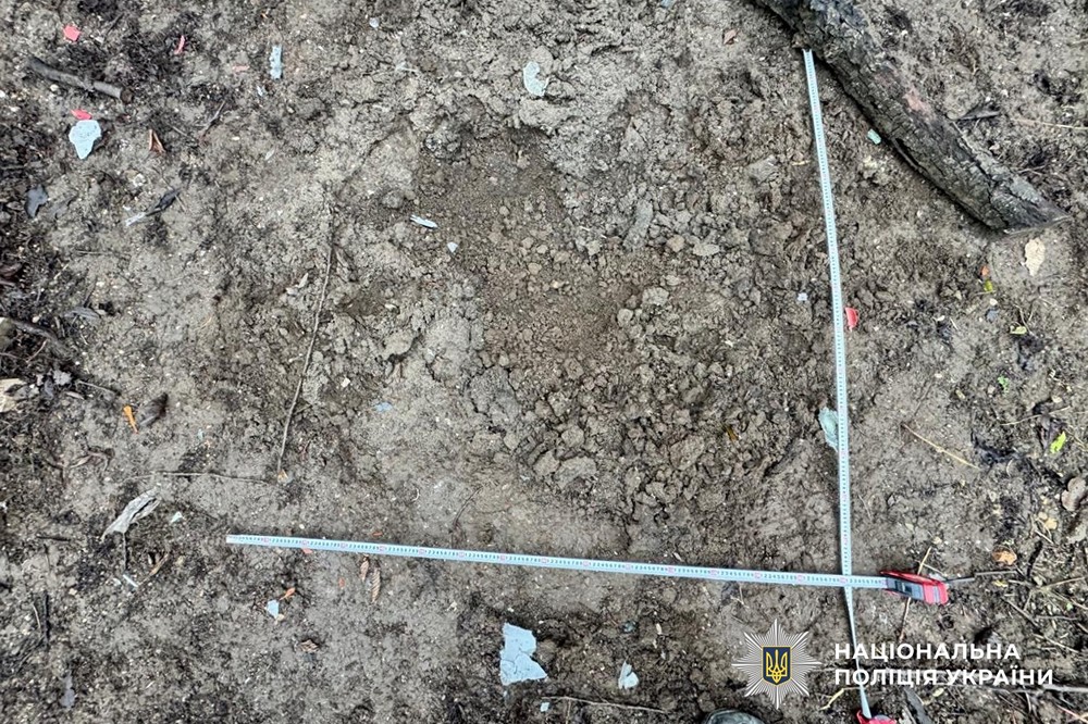 v84 d67d3dbef1ae01719779a658499a790f