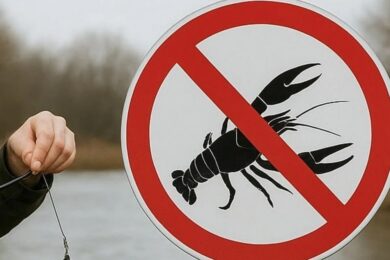 З 1 грудня в Україні стартувала заборона на вилов раків: яка відповідальність за порушення