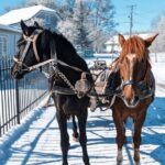 1 січня – яке сьогодні свято, прикмети і традиції, пам’ятні дати, іменини