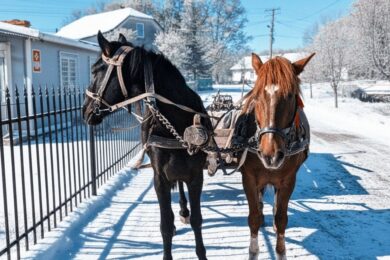 1 січня – яке сьогодні свято, прикмети і традиції, пам’ятні дати, іменини
