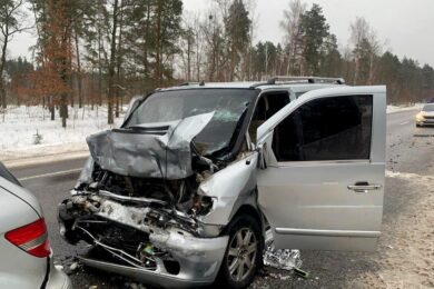 Водій мікроавтобусу спричинив масштабну ДТП на Житомирщині і загинув, четверо людей постраждали (фото)