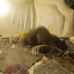 Нічна повітряна атака 14 січня: є жертви, нові удари по енергетиці – все, що відомо (фото, відео)