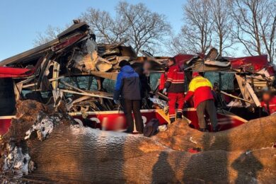 Автобус виконував міжнародний рейс: моторошна ДТП на Львівщині 17 січня (фото)