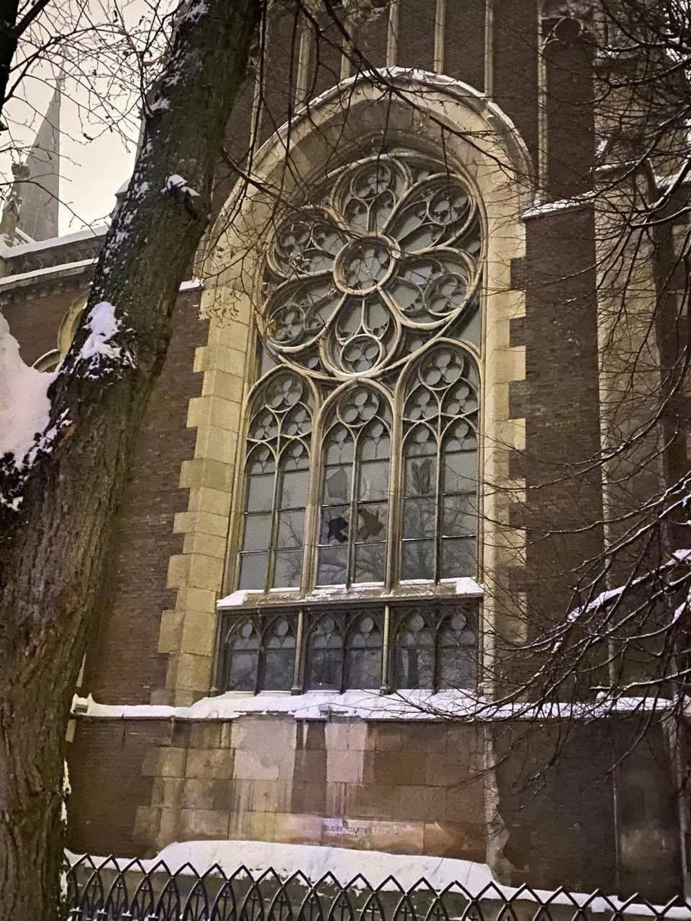 615392564 1367712798701851 8445557478838266008 n