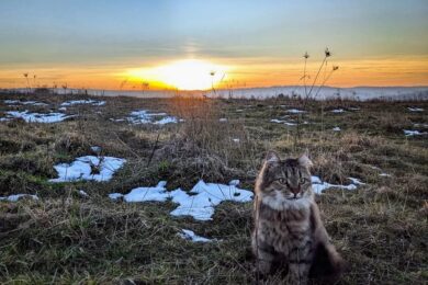 6 січня – яке сьогодні свято, прикмети і традиції, пам’ятні дати, іменини