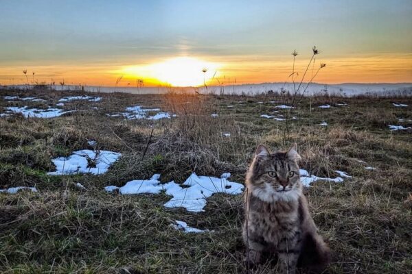 6 січня – яке сьогодні свято, прикмети і традиції, пам’ятні дати, іменини