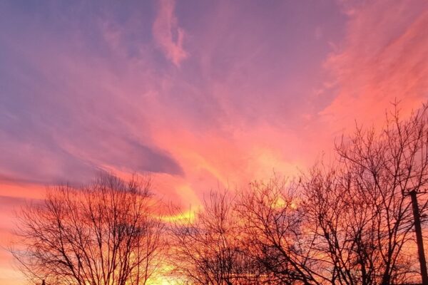 Сьогодні 2 січня 2025 року. Котячий новий рік. День мотивацій і натхнення. Православні вшановують пам'ять святого папи Сильвестра. До Нового року залишилося 363 дні. Це п'ятниця, і на цей день припадає 1409-й день повномасштабної війни в Україні.