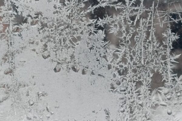 буде погода в Україні 22 січня 2