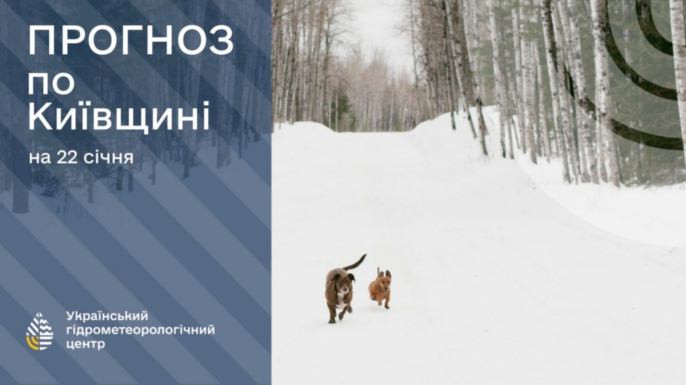 буде погода в Україні 22 січня 3