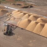 Фермери у 4 областях можуть отримати модульні зерносховища: стартував прийом заявок