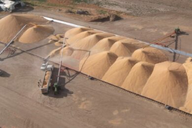 Фермери у 4 областях можуть отримати модульні зерносховища: стартував прийом заявок