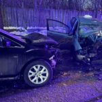 Авто виїхало на зустрічну: у ДТП на Житомирщині двоє людей загинуло, серед п’ятох травмованих – дитина (фото)