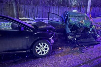 Авто виїхало на зустрічну: у ДТП на Житомирщині двоє людей загинуло, серед п’ятох травмованих – дитина (фото)