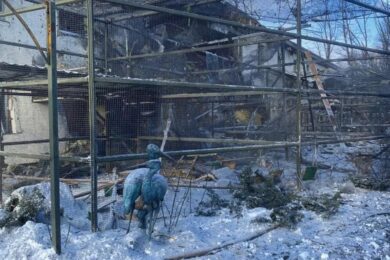 Загинули елітні птахи, поранена людина