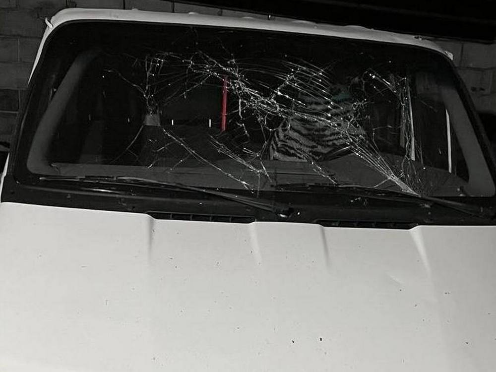 photo 2026 01 07 18 38 12 (2) photo 2026 01 07 18 38 12 (2)