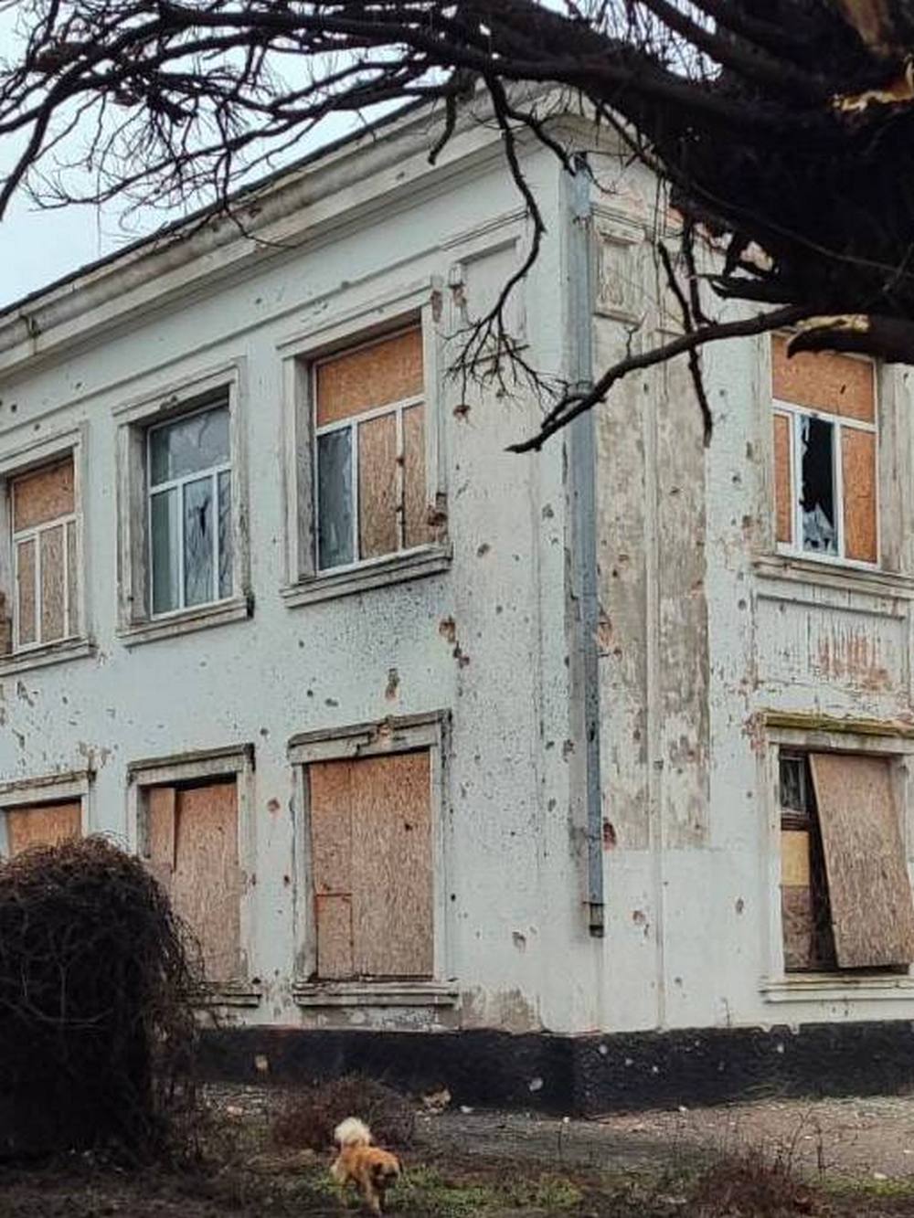 photo 2026 01 07 18 38 12 (3) photo 2026 01 07 18 38 12 (3)