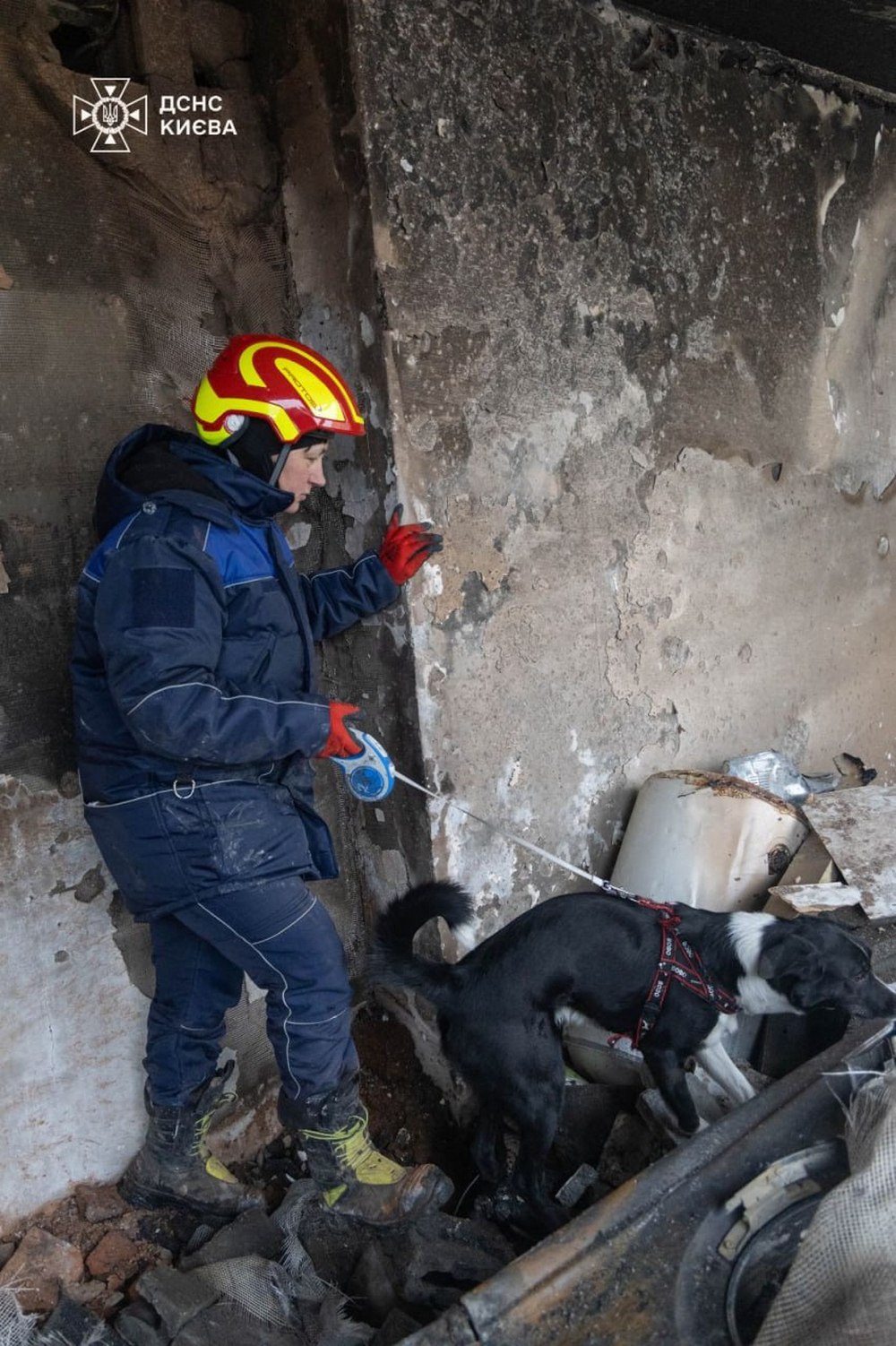 Пошукові роботи у Києві завершено: скільки загиблих і поранених внаслідок масованої російської атаки Пошукові роботи у Києві завершено: скільки загиблих і поранених внаслідок масованої російської атаки