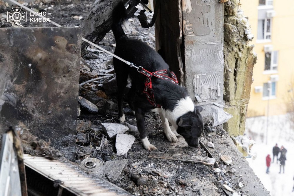 photo 2026 01 09 18 58 58 (6) photo 2026 01 09 18 58 58 (6)