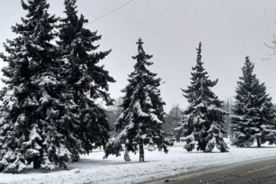 Хмарно з проясненнями, мороз і  туман: якою буде погода в Україні 20 січня