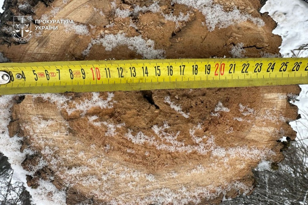 Викрито злочинне угрупування, учасники якого вирубували ліс на Дніпропетровщині у великих масштабах. Незаконно зрубану деревину перевозили, зберігали на складських приміщеннях та реалізовували. Про це «Новини України – НСН» інформують з посиланням на поліцію і прокуратуру. Вирубували ліс на Дніпропетровщині у великих масштабах: що відомо За даними слідства, підозрювані протягом липня 2025 — січня 2026 років без спеціальних дозволів здійснювали незаконну вирубку дерев у захисних лісосмугах . Поліцейські встановили, що група мешканців області у складі організованої злочинної групи   систематично здійснює вирубку дерев у лісових насадженнях Дніпровського району. В ході оперативних заходів злочини задокументували та встановили всіх осіб, причетних до  незаконної вирубки деревини.   22 січня слідчі слідчого управління ГУНП в Дніпропетровській області спільно з оперативниками управління карного розшуку, за силової підтримки полку поліції особливого призначення, під процесуальним керівництвом Дніпропетровської обласної прокуратури, провели масштабну спецоперацію. У ході заходів правоохоронці здійснили 10 обшуків за місцями проживання фігурантів, на складах зберігання деревини та на місцях вирубки. Під час слідчих дій вилучено бензопили, мобільні телефони, чорнові записи, документацію щодо обігу деревини, електричний дровокол, а також значні обсяги спиляних дерев сосни та тополі - понад 100 кубометрів заготовленої деревини, пелети для опалення та дрова. Унаслідок протиправних дій довкіллю завдано збитків на суму понад 1 млн грн. За процесуального керівництва Дніпропетровської обласної прокуратури повідомлено про підозру трьом мешканцям м. Дніпра за фактом незаконної порубки дерев у захисних та інших лісових насадженнях, а також перевезення, зберігання та збуту незаконно зрубаних дерев, вчинених за попередньою змовою групою осіб (ч. 4 ст. 246 КК України). Також до суду подано клопотання про обрання їм запобіжного заходу у вигляді тримання під вартою. Наразі тривають слідчі дії, встановлюється повне коло осіб, причетних до вчинення кримінального правопорушення, та вирішується питання щодо обрання підозрюваним запобіжних заходів.