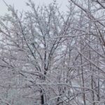 погода в Україні