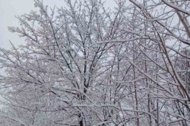 Хуртовини і різке похолодання: якою буде погода в Україні з 8 по 11 січня 33 погода в Україні