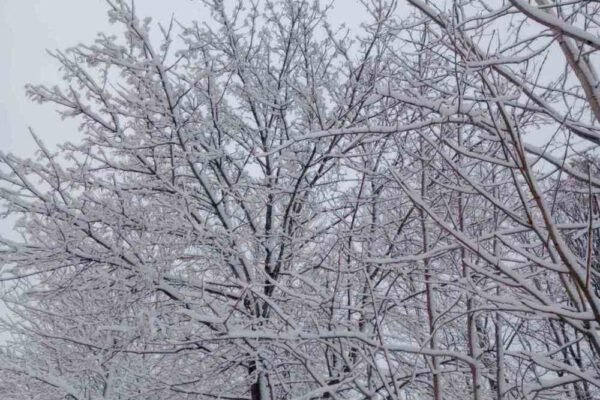 погода в Україні