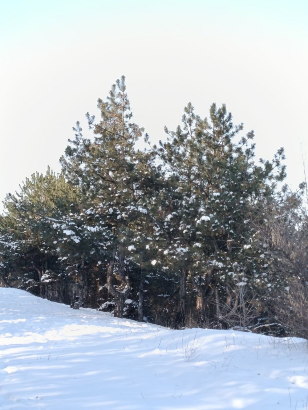 погода в Україні 1 лютого погода в Україні 1 лютого