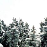 До 25 градусів морозу: якою буде погода в Україні 1 лютого