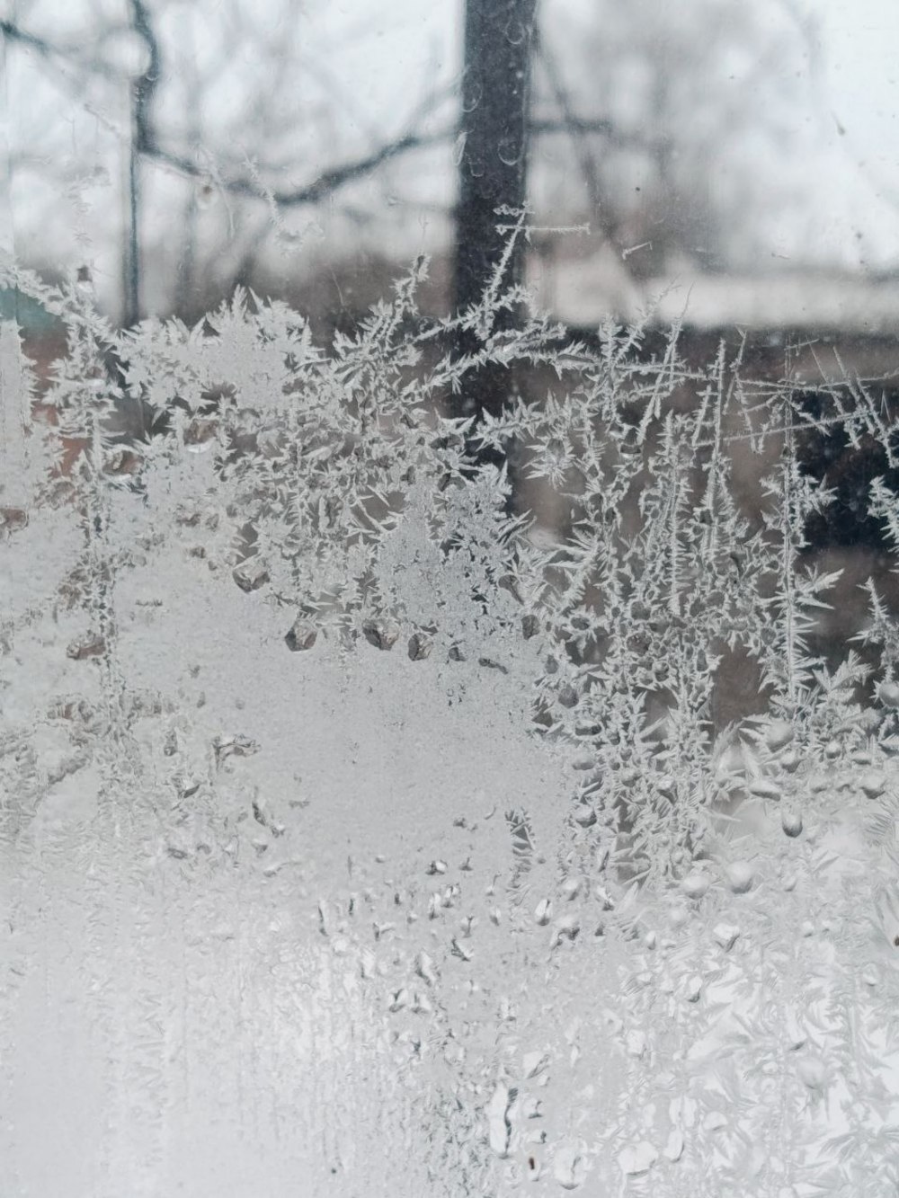 погода в Україні 19 січня